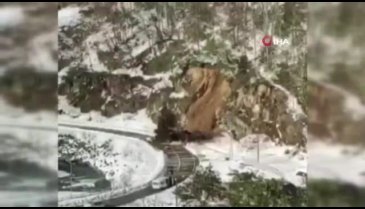 Heyelan anı cep telefon kamerasına yansıdı