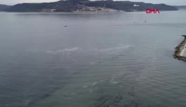 Denizin üstünde jelimsi bir tabaka belirdi!