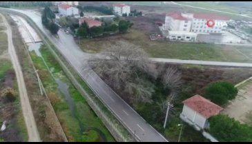 Bursa'nın 'Künye ağaç'ı bakım bekliyor