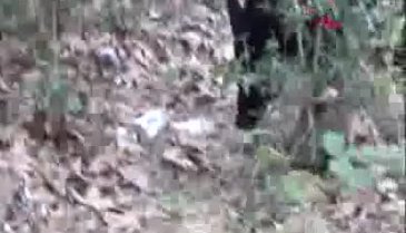 Bursa'yı kana bulayacak eylem hazırlığındaki 4 kişi tutuklandı