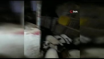 Kuzuların yüksek ses çıkarmasından şüphelenen şahıs video çekerken depremi kaydetti