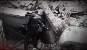 Elazığ depremi sonrası yapılan yardımları video ile anlatıldı