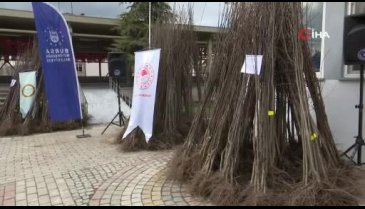 Bursa Harmancık tarımda ayva ile markalaşacak
