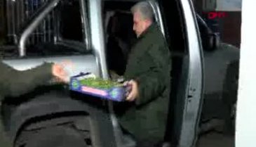 Yeşil eriğin kilosu 750 TL'den piyasaya çıktı