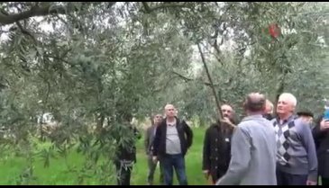 Bursa'da çiftçilere uygulamalı budama eğitimi