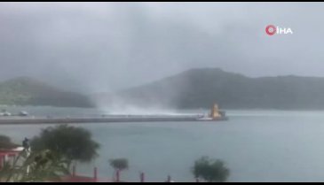 Marinadaki hortum böyle görüntülendi