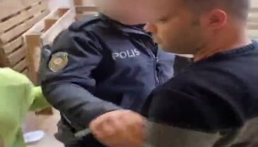 Sosyal medya fenomeni maymununu vermemek için direndi