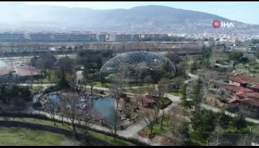 Bursa Hayvanat Bahçesi'nde yavru sevinci