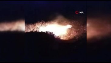 Örtü yangınında 20 dönümlük alan zarar gördü