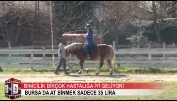 Bursa'daki atlar hem dost hem şifa kaynağı ( ÖZEL HABER)