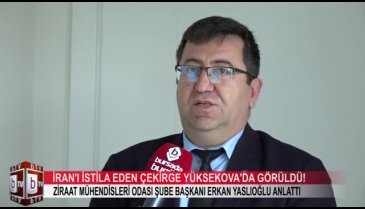 Çekirge istilası Türkiye'yi nasıl etkileyecek? (ÖZEL HABER)