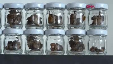 Koronavirüs propolis satışlarını artırdı