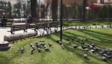 Bursa'da yasağa uymadı, kimliğini soran polise yalan söyledi