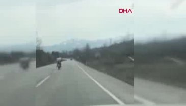Bursa'da motosiklette arkasındaki köpekle yol aldı