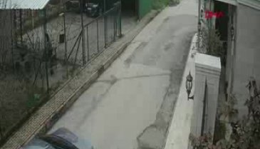 Bursa'da otomobiliyle gelip, sokak köpeklerine ateş açan saldırgan aranıyor