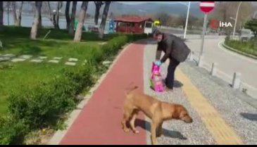 Bursa İznik'te can dostları unutulmadı