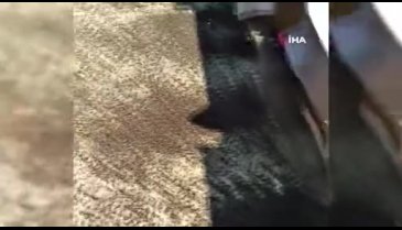 Bursa'da bal üreticileri ölen arılarıyla müdürlüğe geldiler