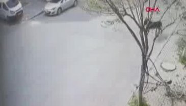 İnanılmaz olay! Güvenlik kamerasını izleyince şoke oldu