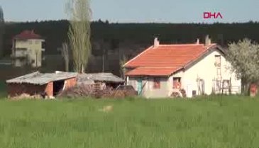 Babasını baltayla öldürüp, ormana gömdü!