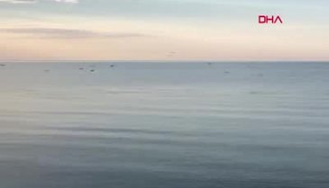 Tekirdağ sahilinde yunuslar görüntülendi