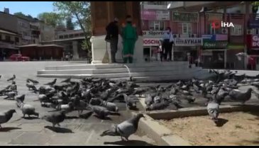 Bursa'da sıcaktan bunalan güvercinlere her gün böyle banyo yaptırıyor