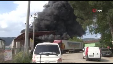 Bursa Gürsu'da yangın - 1