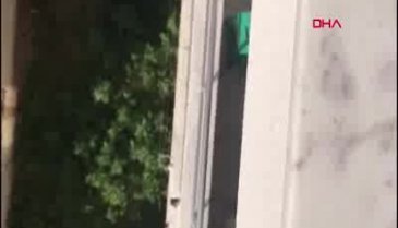 Bursa'da sahibinin kötü muamelede bulunduğu köpeğe yeni yuva