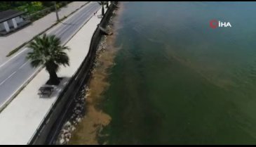 Bursa Gemlik Körfezi'nde şaşkına çeviren görüntü