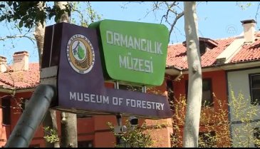 Bursa'nın ormancılık müzesi restore edilecek