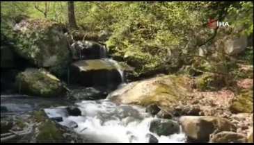 Bursa dereleri yıllar sonra temiz akmaya başladı!