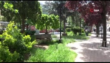 Artvin'de 17 gündür pozitif vakaya rastlanmadı