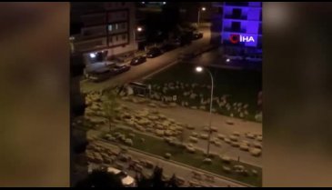Koyun sürüsü caddeyi kapattı!