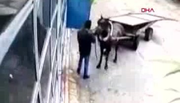 Bursa'da at arabasıyla hırsızlık kamerada