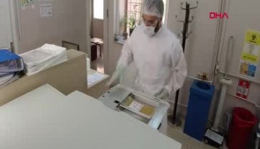 İmmün plazma tedavisinde yeni yöntem