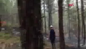 Bursa Orhaneli'de korkutan örtü yangını