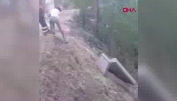 Muğla'da ormanlık alandan çıkanlar görenleri şaşırttı