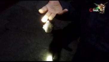 Bursalı maceracı yarasayı öpüp paylaştı