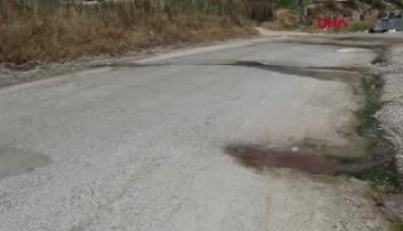 Karayolunun altından çıktı! Şaşkınlık yaratan görüntü