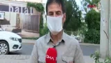 Koronavirüs, böcek ve sineklerle taşınır mı?
