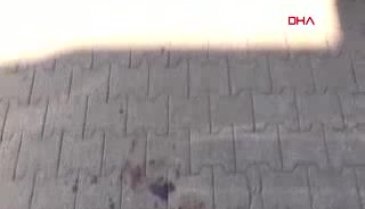 Zeynep'i milli boksör sevgilisi öldürdü