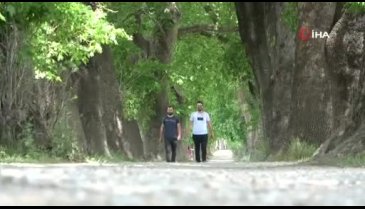 Bursa'da bu yolu gören güzelliğine hayran kalıyor