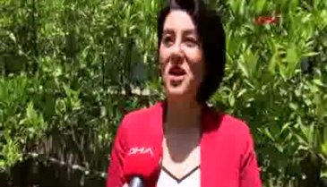 Dr. Obengül Ejder: Karantina sonrası nüfus patlaması olabilir