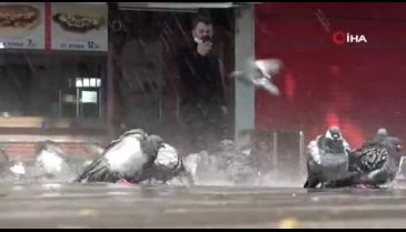 Bursa'da meydanlar boş kaldı, yüzlerce güvercin böyle yıkandı