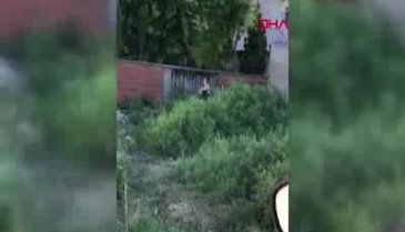 Bursa'da çocuklar polisi görünce yeşilliklere saklandılar