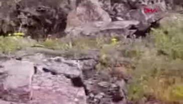 Dağda ot toplarken 7'şer metrelik 2 engerek yılanıyla karşılaştı