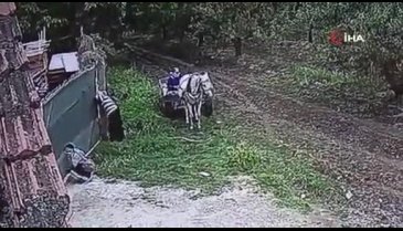 Bursa'da hırsızlar kazanları at arabasıyla böyle çaldı
