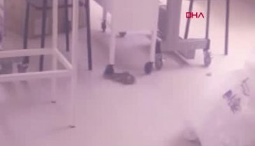 Bursa'da tekstil atölyesinde yılan paniği