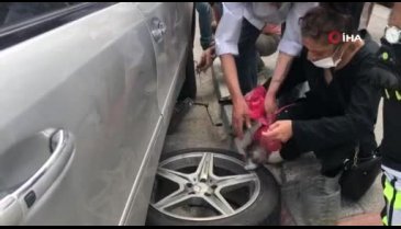 Bursa'da lüks araca sıkışan kedi lastik sökülerek çıkartıldı