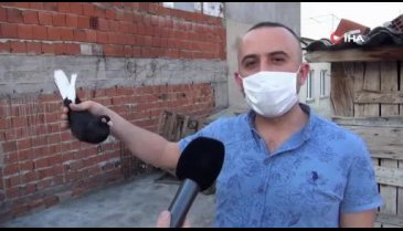 Bursa'daki bu güvercinler motosiklet fiyatına satılıyor