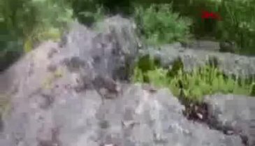 Çekim yaparken yılanın saldırısına uğradı